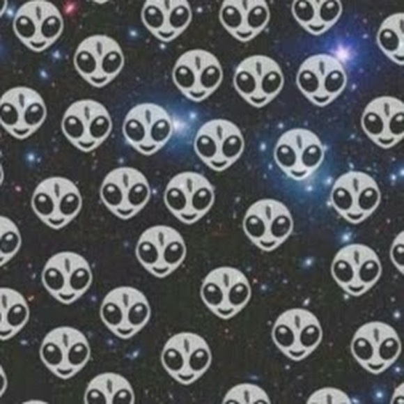 Meet your Posher, Akasha - Picture 1 of 1